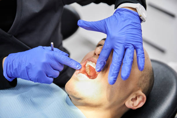 Best Pediatric Emergency Dentist in Temple Terrace, FL
